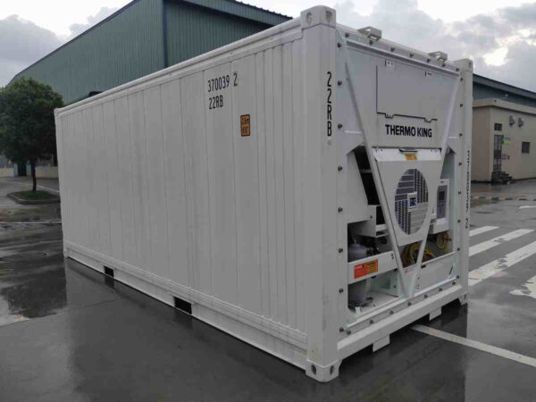 Conteneur Frigorifique 20 Pieds - Reefer ThermoKing Certifié (Neuf) – Image 4